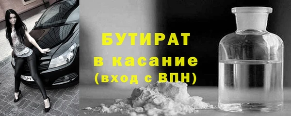 индика Алексин