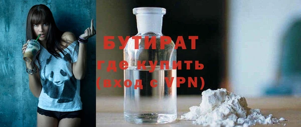 индика Алексин