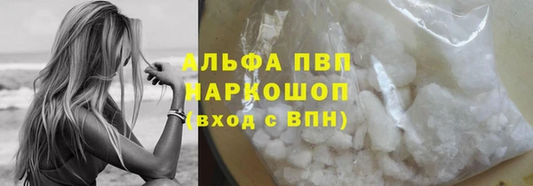 индика Алексин