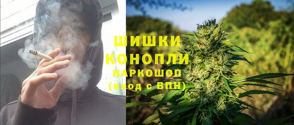ПСИЛОЦИБИНОВЫЕ ГРИБЫ Алексеевка