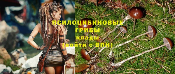 индика Алексин