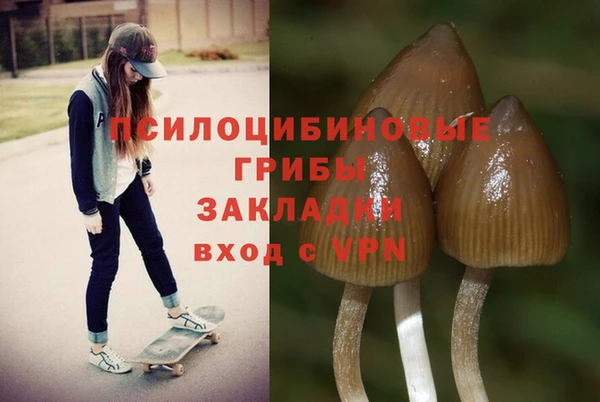 СК Алзамай