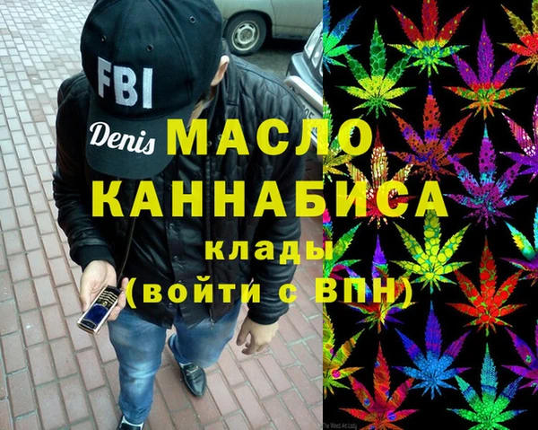 индика Алексин